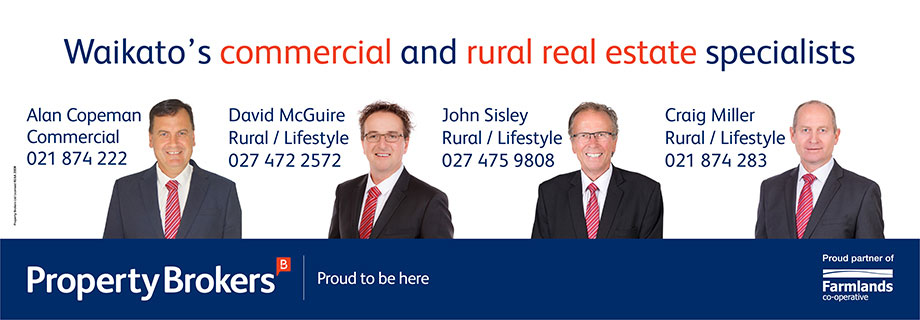 You are currently viewing Property Brokers Pukete Creative